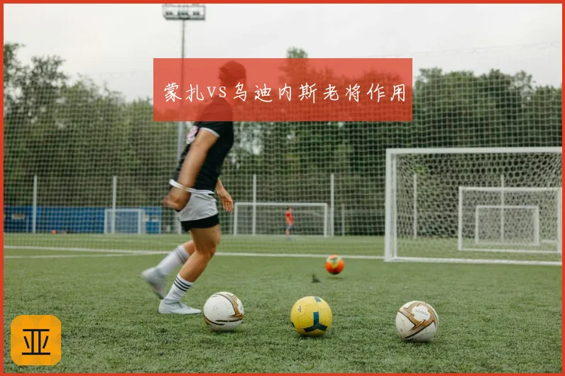 蒙扎vs乌迪内斯老将作用